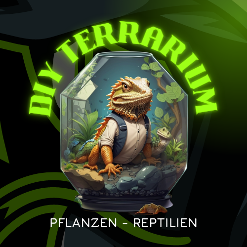 DIY Terrarium