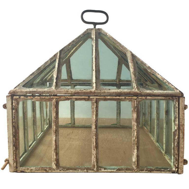 terrarien geschichte und entstehung